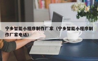 凉山宁乡智能小程序制作厂家（宁乡智能小程序制作厂家电话）